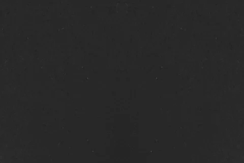 Jade Bikini Bottom | Black - Image 11
