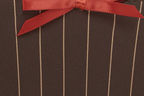 Jeanie Bikini Bottom | Brown Pinstripe - Image 9